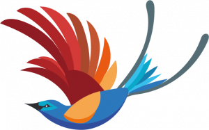 Oiseau bleu-rouge
